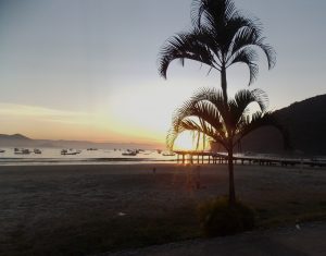 Leia mais sobre o artigo EXCURSÃO EM GUARUJÁ?